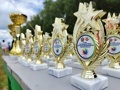 Спортивный праздник для работников медучреждений прошел в Шиловском районе